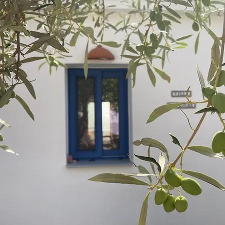 Koukoura Vasilítsion