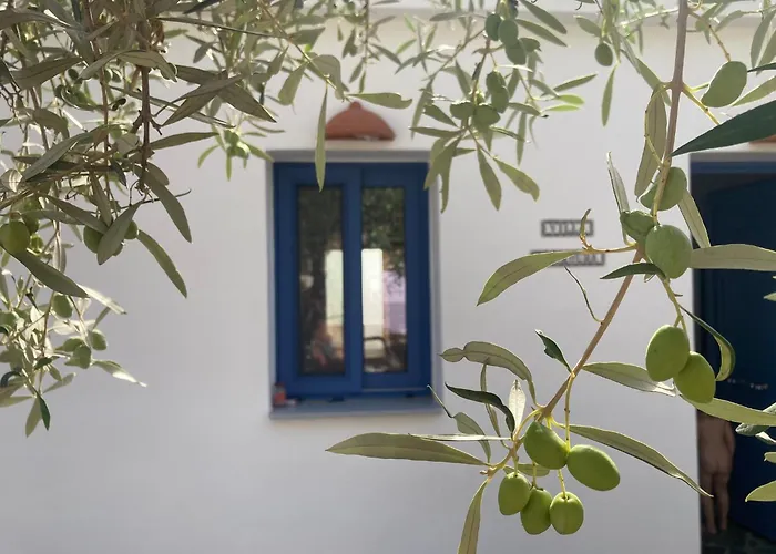 Koukoura Vasilítsion